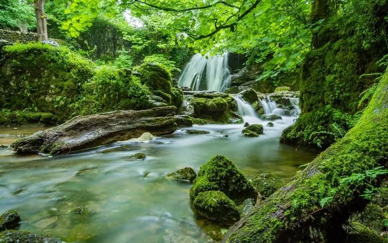 科技科技高性能